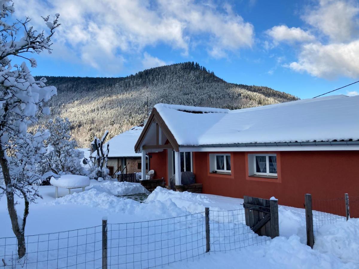 Le Cerf Volant Ferienhaus Raon-sur-Plaine